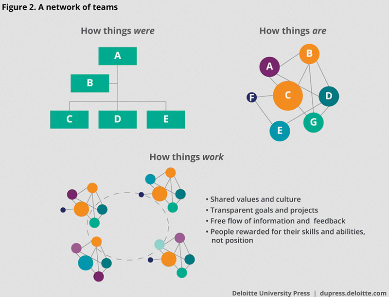 a-network-of-teams